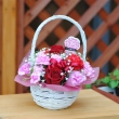 静岡県静岡市清水区花のナカムラの花　ayano