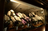 静岡県静岡市清水区の花屋　花のナカムラ