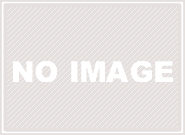 9月の花　コスモス｜「花のナカムラ」　（静岡県静岡市清水区の花キューピット加盟店 花屋）のブログ